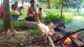 レチョンバボイ Lechon Baboy 子豚の丸焼き Philippines