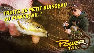 fiiish - Truite de petit ruisseau au PowerTail