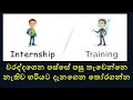 Trainee VS intern : Sinhala