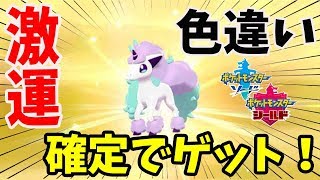 【ポケモン剣盾】100人中99人が知らない色違いポケモンを一番効率良くゲットできる方法【ポケモンソードシールド】