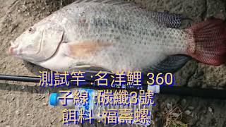 宜樂休閒池 名洋鯉 360手竿釣烏鰡