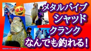 【今日のナンコ！2022.11.19】メタルバイブ シャッド クランク なんでも釣れる！【琵琶湖バス釣り】