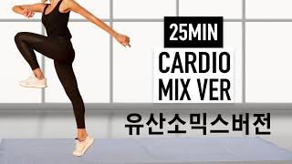 땀줄줄 25분 유산소운동 믹스버전! 비곗살 뺍시다!🔥