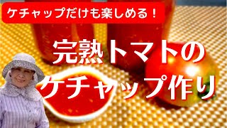 【完熟トマトのケチャップ作り】ケチャップだけも楽しめる！