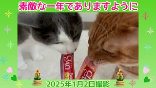 素敵な一年でありますように（2025年1月2日撮影）