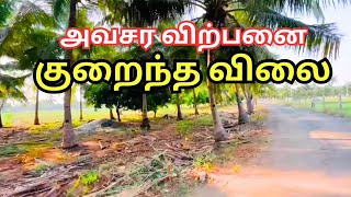 தென்னந் தோப்பு அவசர விற்பனை 💥 #urgentsale #realestate #landforsale | farm land for sale in Erode