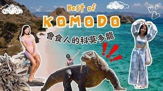 【Bali峇里島懶人包🇮🇩】近距離接近食人蜥蜴😱 冒險走入龍之島🦖 ｜Ubud瑜伽愛好者的朝聖地🧘🏻‍♀️｜粉紅沙灘｜科目多島｜打卡梯田