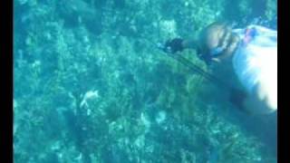 Jim McMillan Freedive Bahamas