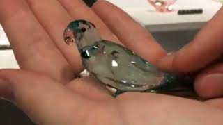 Swarovski Jungle Beats Paco Blue Parakeet Value