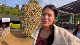 Arunachal pineapple 🍍festival at bagra village 💚