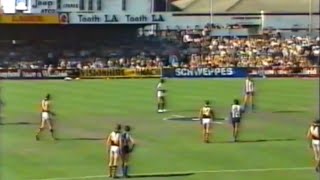 1982 VFL Round 22 - North Melbourne vs Richmond