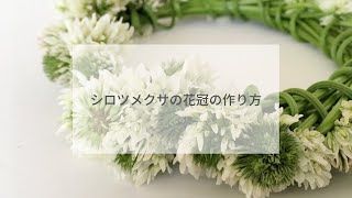 野の花で遊ぼう！シロツメクサの花冠の作り方