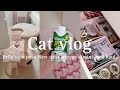 Cat vlog No.12 🐈🌸🌿: Bella’s cat post, New treat storage & mini food haul