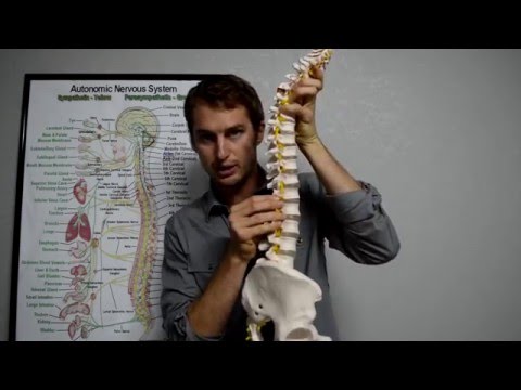 what causes scoliosis? Dr. Jordan Axe what causes scoliosis? Dr. Jordan Axe