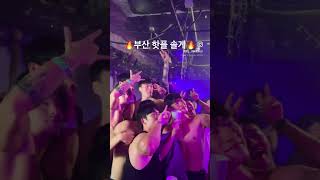 솔게스트하우스에서 일어난일 #부산게스트하우스