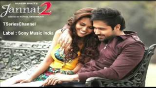 'Tujhe Sochta Hoon' Full Song - Jannat 2 - Nikhil DSouza feat eeeemran hashmi... Esha Gupta