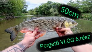 Pergető VLOG 6.rész - Nagy domolykók napja.