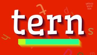 How to say "tern"! (High Quality Voices) How to say "tern"! (High Quality Voices)
