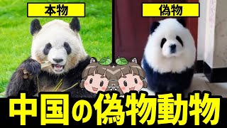 【逆に見たい】中国で話題になったあり得ない偽物動物たち