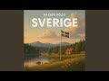 Vind över Östersjön