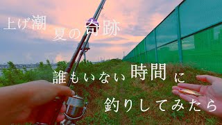 東京湾奥 【夏の都市型河川でシーバスデイゲーム】上げ潮・夏の奇跡『誰もいない時間に釣りしてみたら』