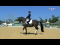 best of dressage