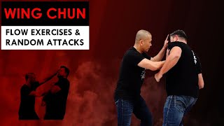 Wing Chun Flow Exercise With Random Attacks - Kung Fu Report #264