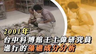 【看當年】台中科博館王士偉研究員進行的藻礁成分分析｜2001年｜公視我們的島