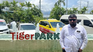 Thailand Tiger PARK ( থাইল্যান্ড টাইগার পার্ক ) |