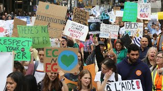 Climate strike organisation disbands because it was 'a racist, white dominated space'