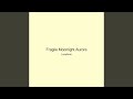 Fragile Moonlight Aurora