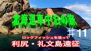 【利尻島ついに大物が出た‼️】