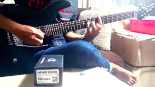 Stephallen guitar , wilde pickup, EVH5150 mini , CKK infinite reverb, HBE mimic Delay