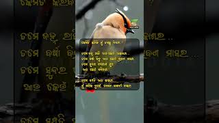 କେମିତି କରିବି ମୁଁ ତୁମକୁ ନିଜର!#shorts #youtubeshorts #ytshorts #love #sad