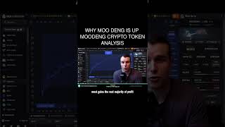 Why Moo Deng is up 🤩 Moodeng Crypto Token Analysis