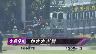 かささぎ賞［2023.2.4 小倉第9R/1200m 芝］