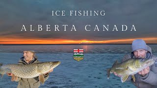 Alberta Canada Ice Fishing - PIKE \u0026 WALLEYE