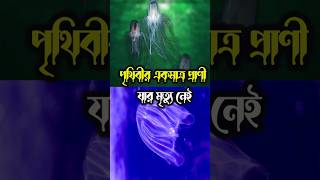 #shorts পৃথিবীর একমাত্র প্রাণী যার মৃত্যু নেই #facts #knowledge #unknownfacts