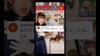 愛犬を洗った事ない飼い主さん絶対いるよね？？？ #tiktok #shorts