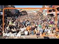 Thousands of golden retrievers gather in Golden