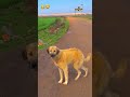 ￼doggy ne kya dence kiya 🤣 trending shorts 🤣 comedy viral funny funnyshorts￼