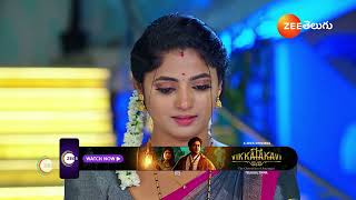 Janaki Ramayya Gari Manavaralu | Ep - 203 | Webisode | Dec 27 2024 | Zee Telugu