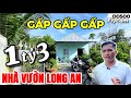 Nhà vườn Bình Chánh | Nhà vườn Long An đúng 1tỷ3 gấp gấp gấp | Nhà vườn 365 | D0500