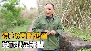 搞笑剧：驼背辛苦蹲守8天的野鸡蛋，结果被闷墩捷足先登了，爆笑【四川王保长】