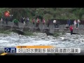 花蓮旅遊景點多 解說員說在地故事 2015 02 16 titv 原視新聞