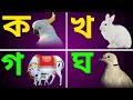 Banjonborno song | ব্যঞ্জনবর্ণ -ক খ | Bangla Bornomala | Bangla Rhymes for Children | Kids Learning