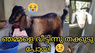 തക്കുടു പോവാണ്🥺 ഗയ്സ് എല്ലാരും പോവാണ് 🤒