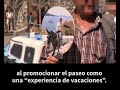 el sufrimiento no se detiene ¡prohíban los paseos en asnos en santorini