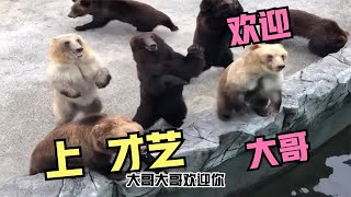 #搞笑#funny 满级人类，猎杀时刻，人类搞笑迷惑行为大赏XDDDDD  #LOL#Trickery#funny video