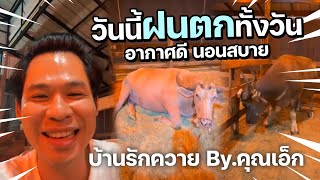 LIVE EP.51 ฝนตกทั้งวัน อากาศดี..คนสบาย ควายสบาย 27-7-68